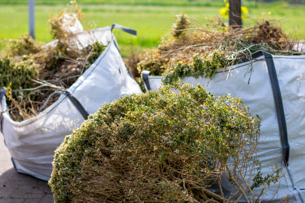 Best Yard Waste Removal  in Manchester, MI