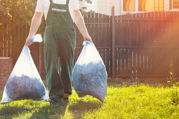 Best Professional Junk Removal  in Manchester, MI
